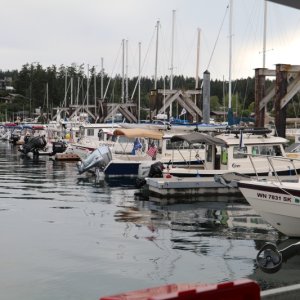 IMG 7754