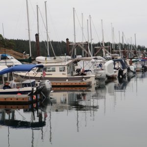 IMG 7691