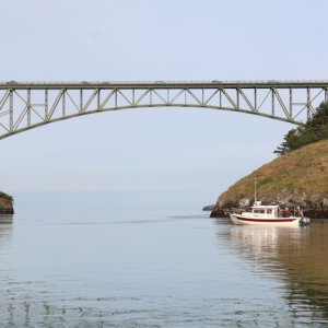 IMG 7565