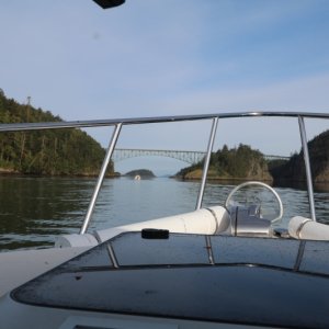 IMG 7556