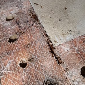 rotten core from the gas tank screws