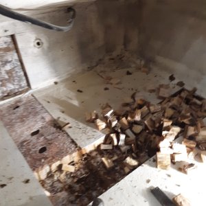 removing rotten core