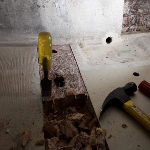 rotten but still hard to get out