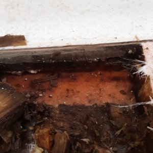 port side void, balsa not even adhered to bottom skin towards outside