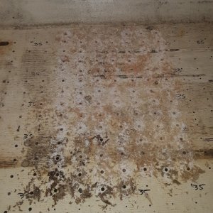 dark shavings under galley, will have to cut and inspect