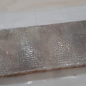 TEST PANEL: no bubbles formed after the initial layup