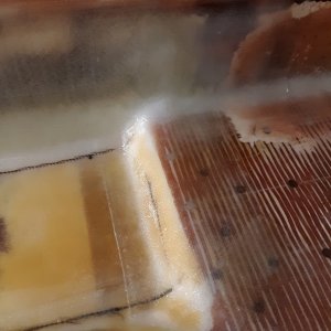 glassed over, 2 layers of 6oz 4" tape on all the seams and bottom