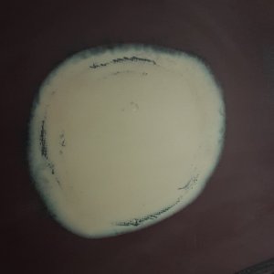here is the patch I put over the old raw water washdown thruhull.  this time I tried to be more efficient by dishing it out, then glassing, then waiting for that to gel and putting the fairing compound over it before it was cured.  most of my time working on the boat has been grinding