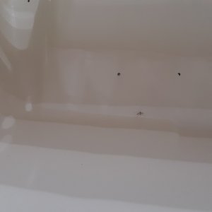 inside of the transom painted an gelcoated