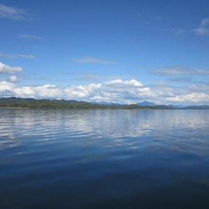 In Queen Charlotte Strait