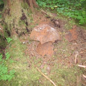 Dinosaur egg? No, its the remains of a large cast iron cooking kettle. The handle loop is just visible.