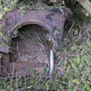 Remains of a cast iron stove.