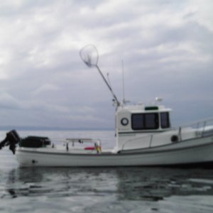 Media 'SSPX0248.JPG' in album 'Kimshack at rest at Shipwreck'
