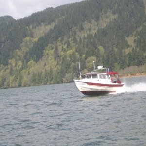 Constant Craving at Cathlamet