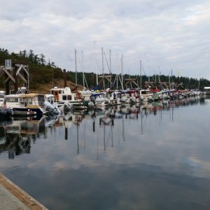 The long walk back from town! Were on "H" dock.
