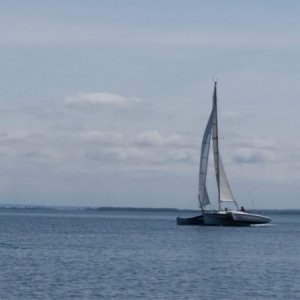 Media 'Someone's sailboat....they are really moving along too!' in album 'Loading up at EQ'