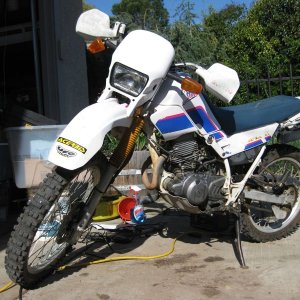 Media '1993 XT225' in album '1993 XT225'