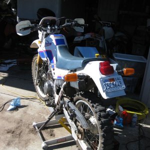 Media '1993 XT225' in album '1993 XT225'