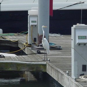 Media 'Who has gas// It was the duck!' in album 'Hampton Roads & Baltimore Pilots Assoc. boats'
