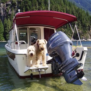 (Ron on Meander) We want ashore Now!
