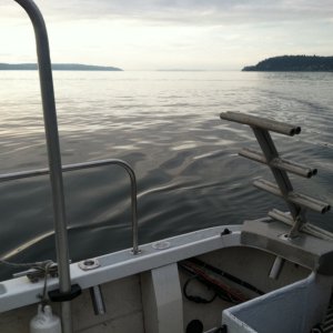 Swim Step & Ladder