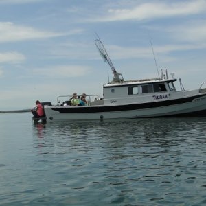 Media 'Fisherman's Bay - San Juan Islands' in album 'Water Port'