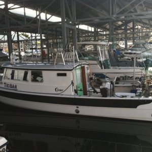 Port Rear