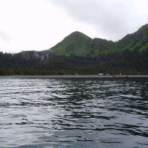 Halibut Cove Fox Island Kenai Fjords Tour's Salmon Bake and Over Night Lodge