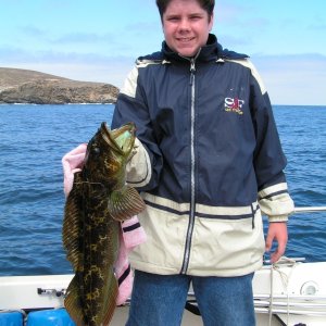 Media '(Dora~Jean) Miles' first legal ling. Santa Cruz Is.' in album '2 nice sheepheads (male) caught off Santa Barbara Island.'