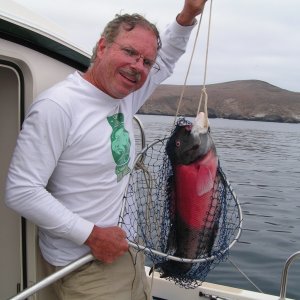 (Dora~Jean) Caught off Santa Barbara Is.