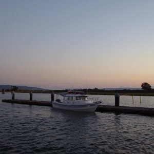 At first I thought I might stay at Jetty Island for the night. That is until the first tug boat and barge went up the slough at full clip and knocked everything around.  That and the stench from the public restrooms on the dock.