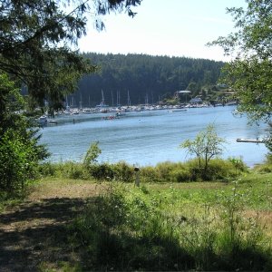Media 'Deer Harbor #2' in album 'Deer Harbor'