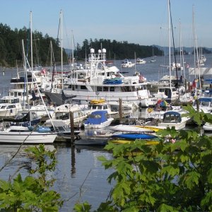 Hobnobbing with the hoi poloi. Ganges Island, Salt Spring Marina.