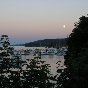 Media 'Ganges moonlight #1.' in album 'Deer Harbor'