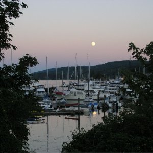 Media 'Ganges moonlight #2.' in album 'Deer Harbor'