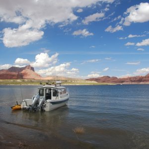 Media 'Lake Powell, Oak Canyon' in album 'Bossa Nova'