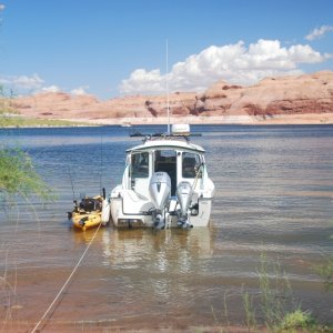 Media 'Lake Powell, Oak Canyon Stern' in album 'Bossa Nova'