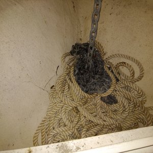 Chain and rode storage bin