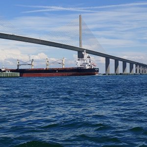 Behemoth entering Tampa Bay