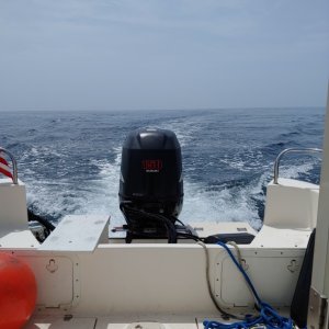 More Mexican Gulf