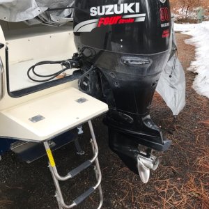 Suzuki DF 90 outboard engine and three step swim ladder on swim step.
