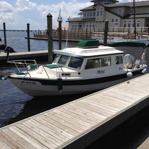 Media 'Muse at home at the Galley Stores Marina in downtown New Bern. We love floating docks!' in album 'Muse at home at the Galley Stores Marina in downtown New Bern. We love floating docks!'