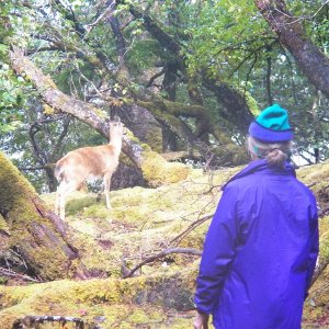 A few breaks in the weather allowed for some catch and release deer hunting.