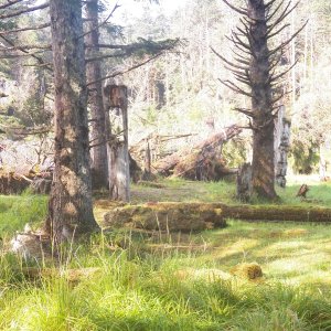 The rear mortise post of this longhouse is still standing.