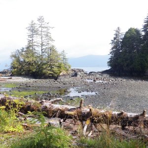 The harbor is shallow (perfect for canoes), west facing (perfect for the weather), and small (perfect for defense).
