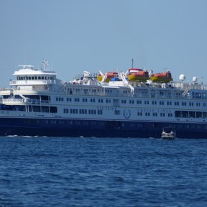 St Lawrence River traffic right outside  our marina