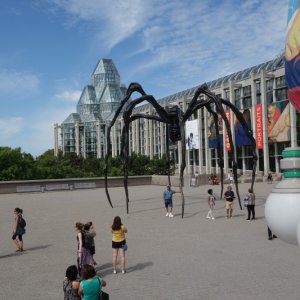 This Ottawa sculptors' 'spider' is a work done in honor of his mother.  I hope she liked it.