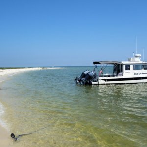 Gulf Is cruise, west tip of Horn Is, sound side