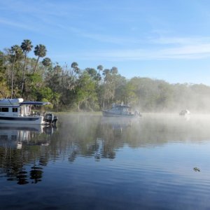 Morning fog on the ST John, Butchers bend anchorage