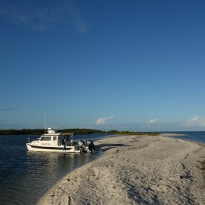 Cayo Costa shallow cove